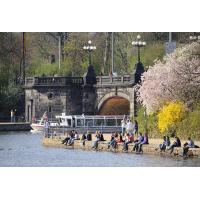 1400_2834 Schiff der Alstertouristik bei der Einfahrt in die Binnenalster. | Alsterschiffe - Fahrgastschiffe auf der Alster und den Hamburger Kanälen.